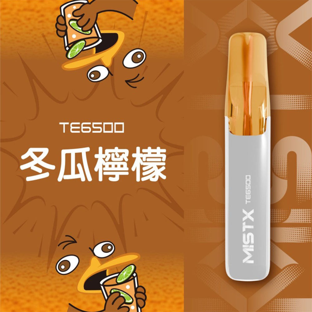 MISTX鴨嘴獸拋棄式｜一次性米斯特鴨嘴獸6500口電子煙｜陶瓷芯升級 超長續航｜VAKA糖果雲煙館